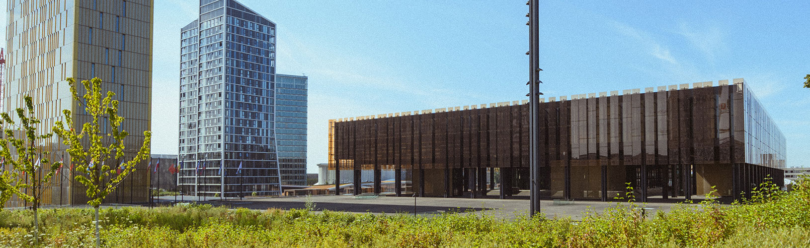 5 German-educated lawyers for the Research and Documentation Directorate (Reserve List)