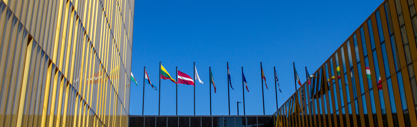 English-language legal translators