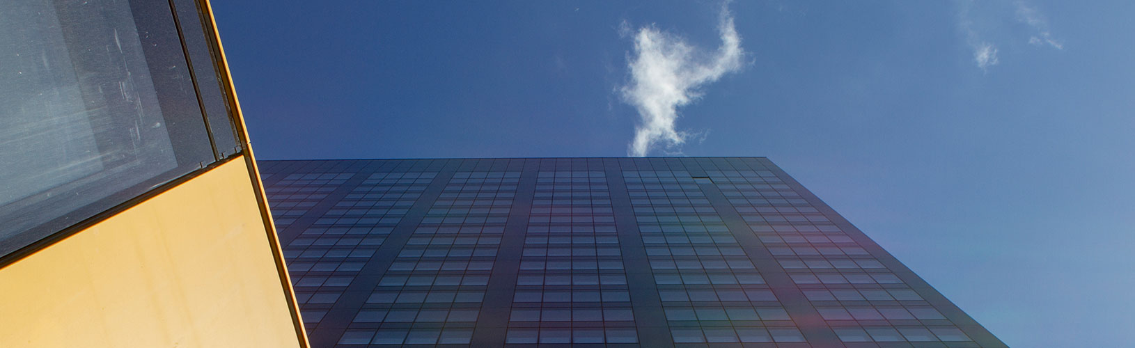 A position as an auxiliary contract agent within the Sixth Chamber of the General Court of the European Union.