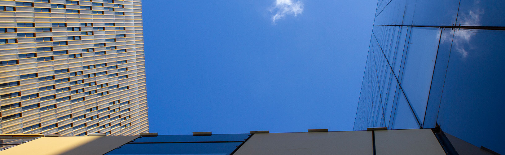 Finnish language lawyer-linguists