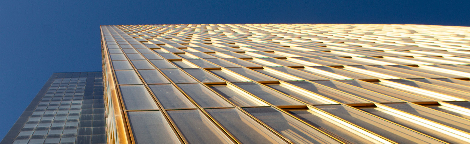 Three medical advisors (M/F)