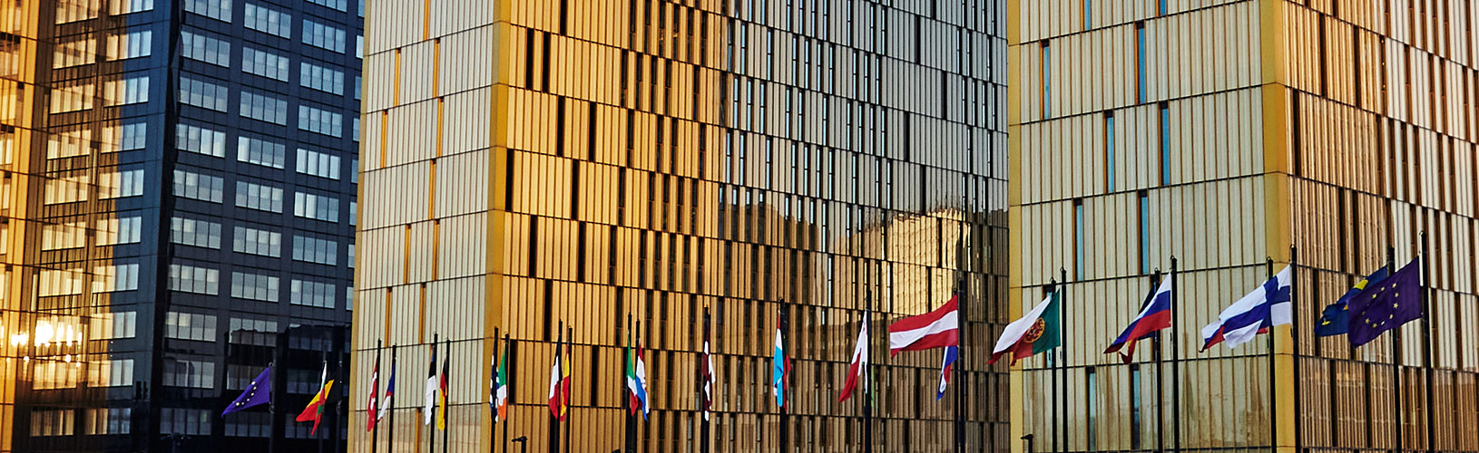 Ten lawyers for the Research and Documentation Directorate (Reserve List)