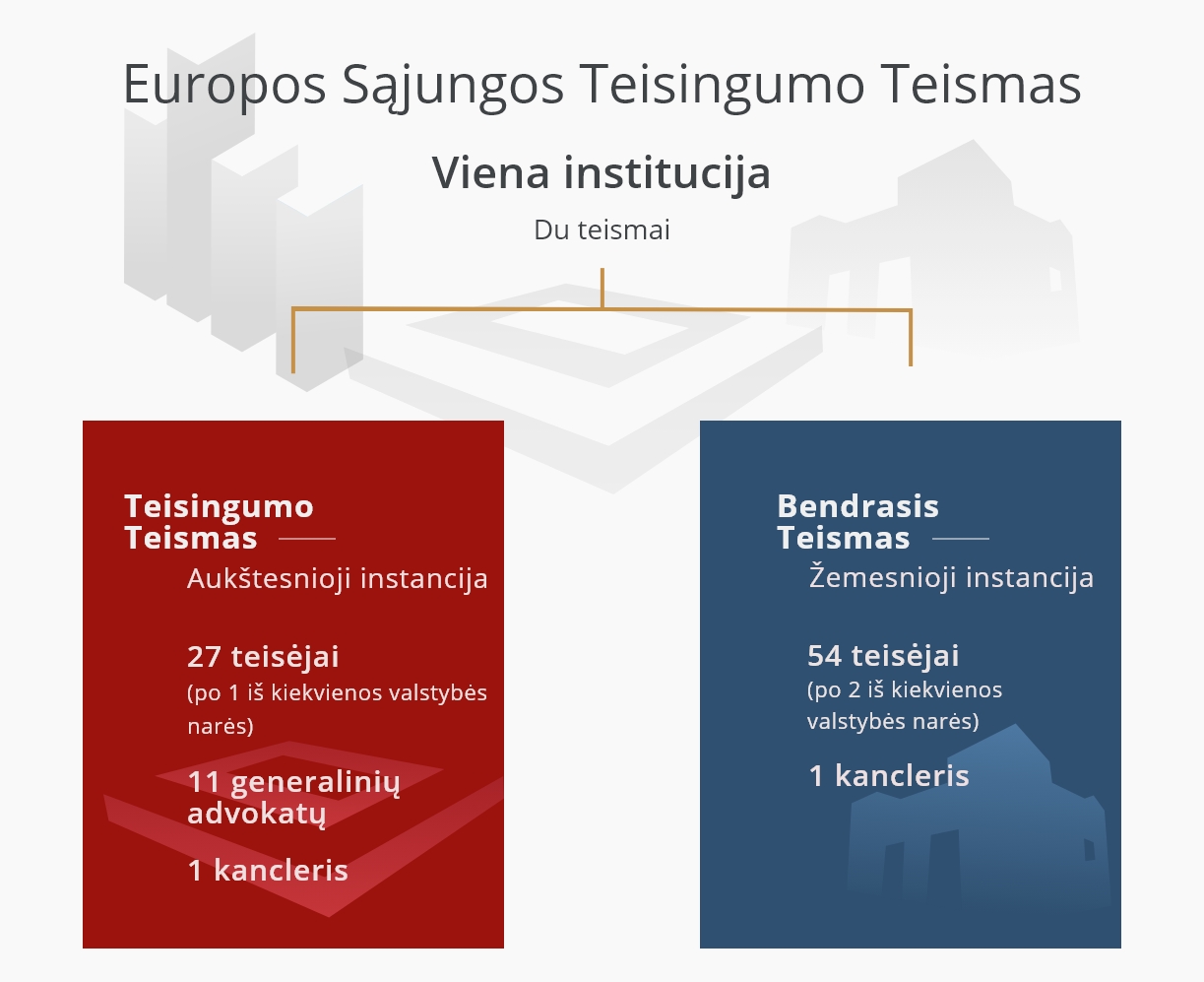 Viena institucija - Du teismai LT 