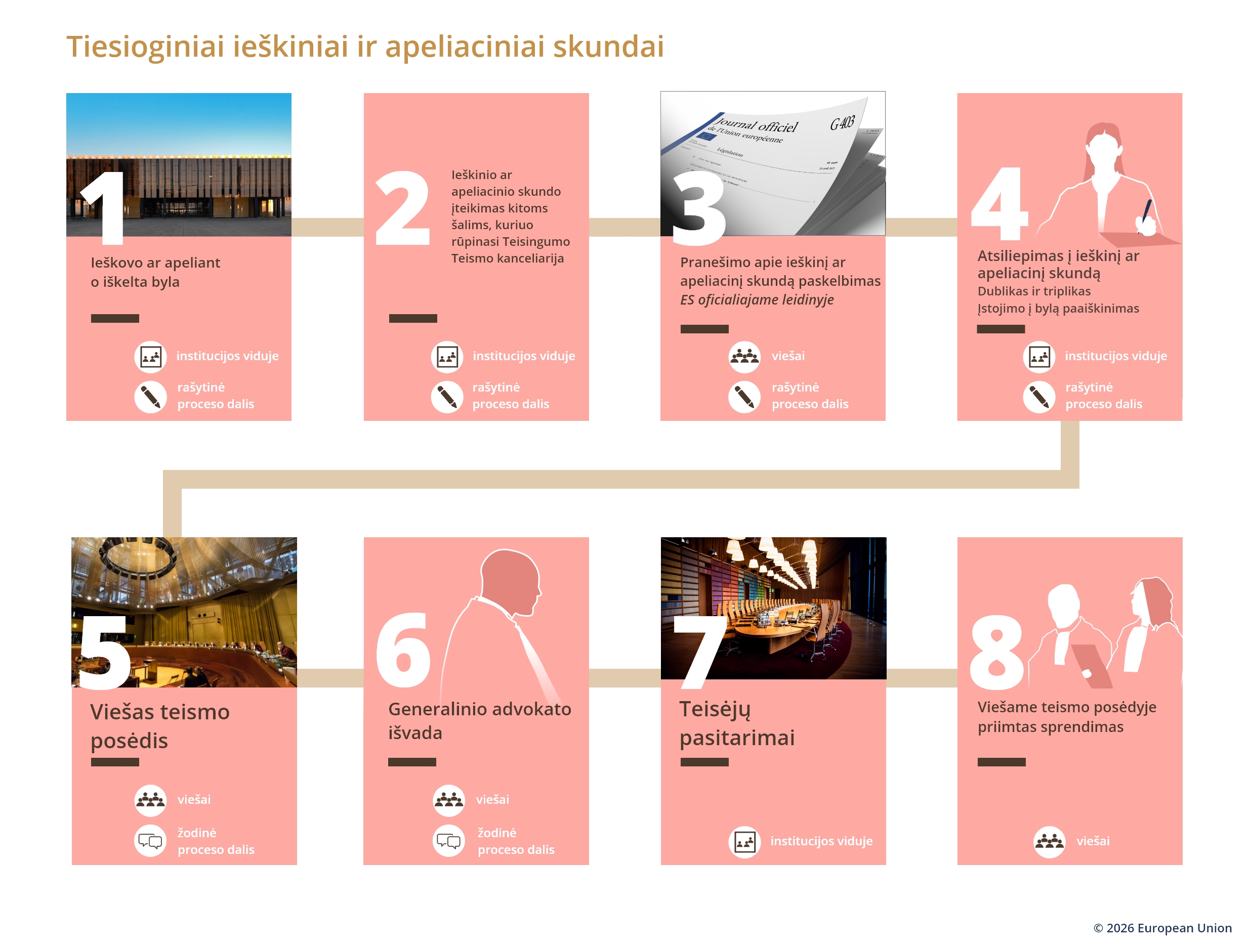 Tiesioginiai ieškiniai ir apeliaciniai skundai LT
