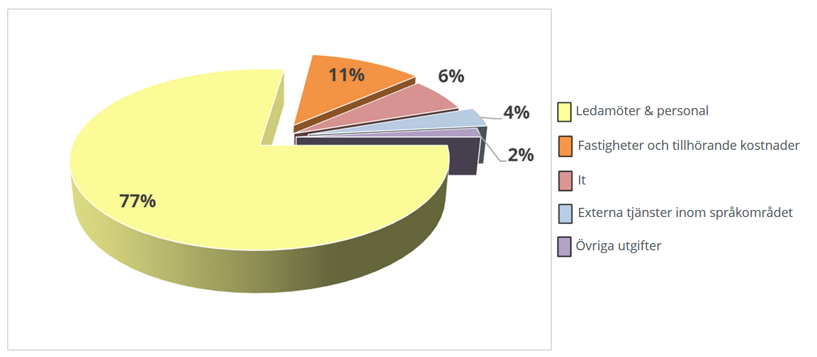 2025 års budget - Anslagsfördelning
